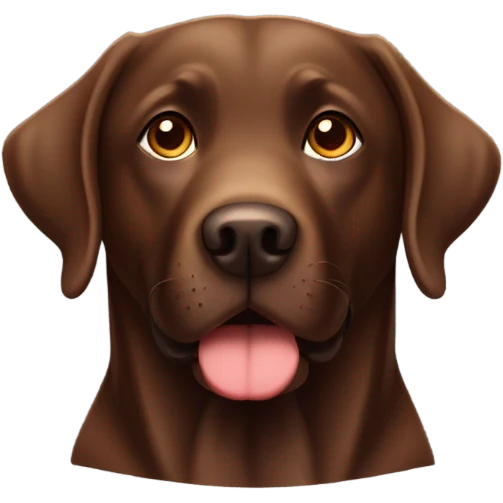 Chocolate lab emoji
