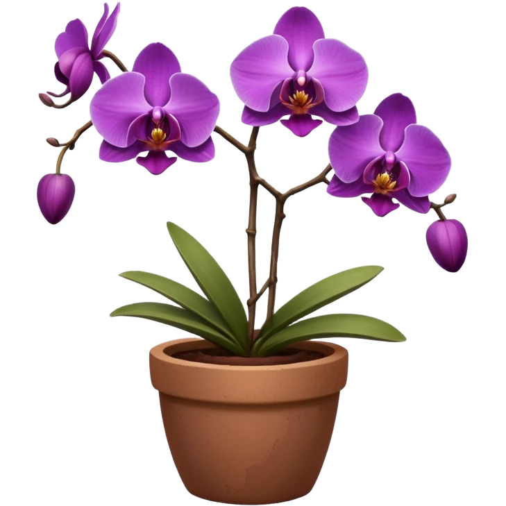 Purple Orchid in a clay pot emoji