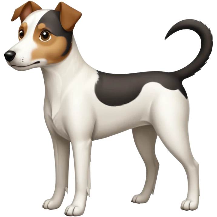 a full body large white parson russell looking dog the size of a kelpie with light brown ears and a light brown patch on one eye and a large snout emoji