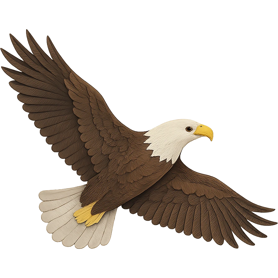 bald eagle gliding in the sky, paper craft style, delicate paper layers, realistic feather patterns, subtle color variations, majestic pose emoji