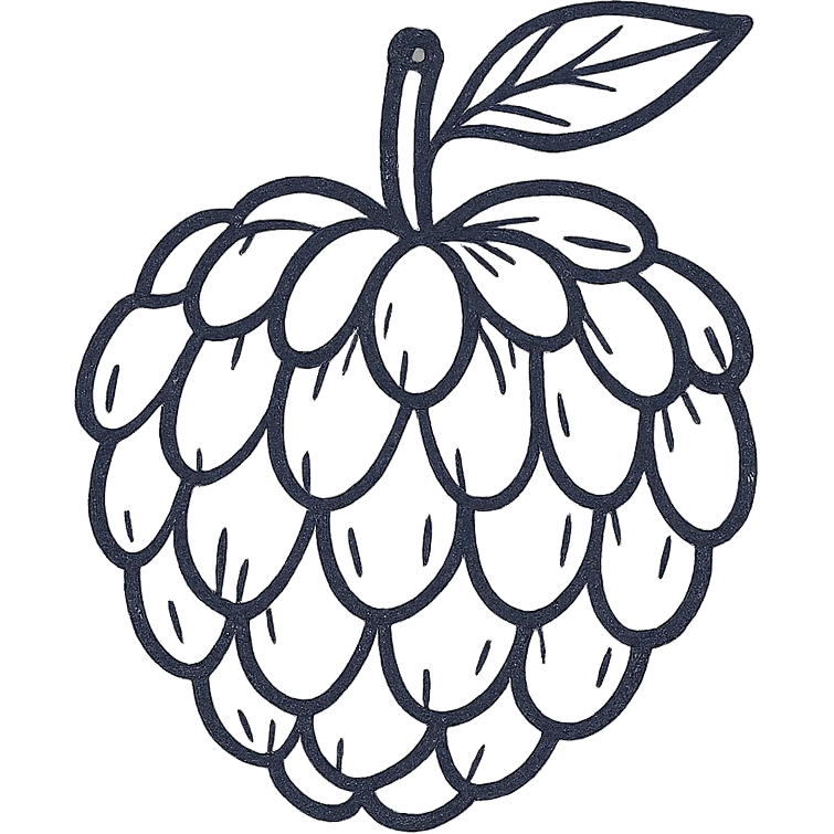 hand drawn black outline sugar apple fruit, minimal, no fill emoji