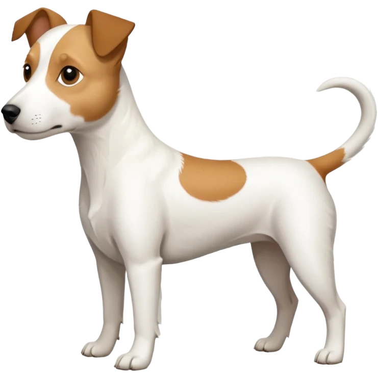 a full body slightly chubby white parson russell terrier looking dog the size of a kelpie with light brown long ears and a light brown patch on one eye and a large snout. the rest of the dog is completely whiteforward facing emoji