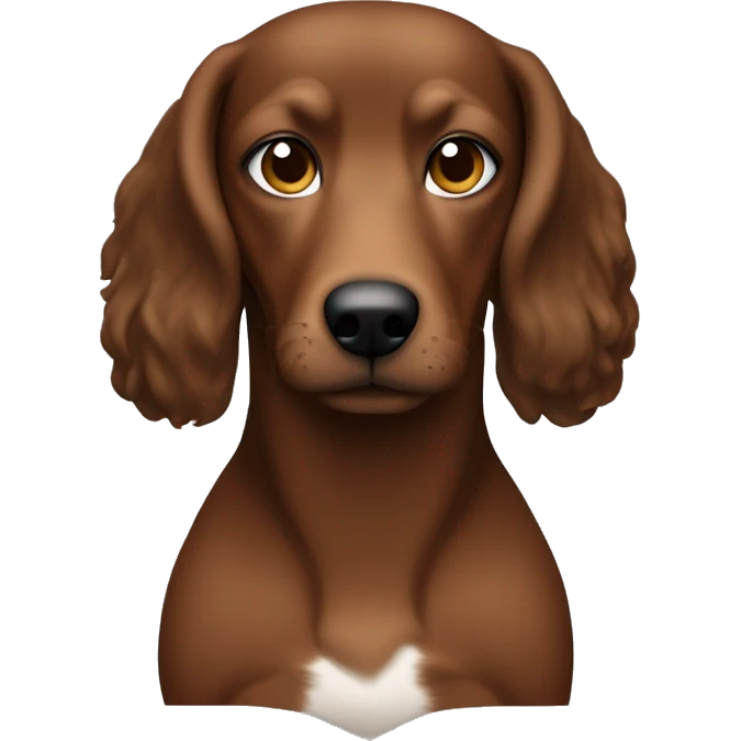 Mujer pelo negro, ojos marrones, blanca (bronceado) con un teckel macho negro con ojos marrones y manchas marrones en todo el cuerpo  emoji