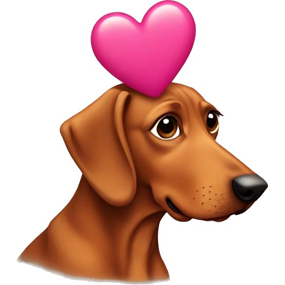 Teckel with a heart on his head  emoji