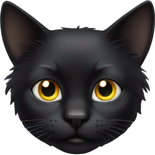 black cat, long hair, squinty eye emoji