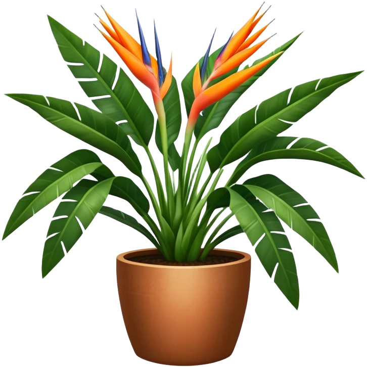gigant Strelitzia nicolai in a pot emoji
