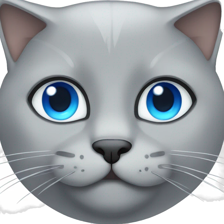 Grey, British Short Hair Cat with Blue Eyes emoji