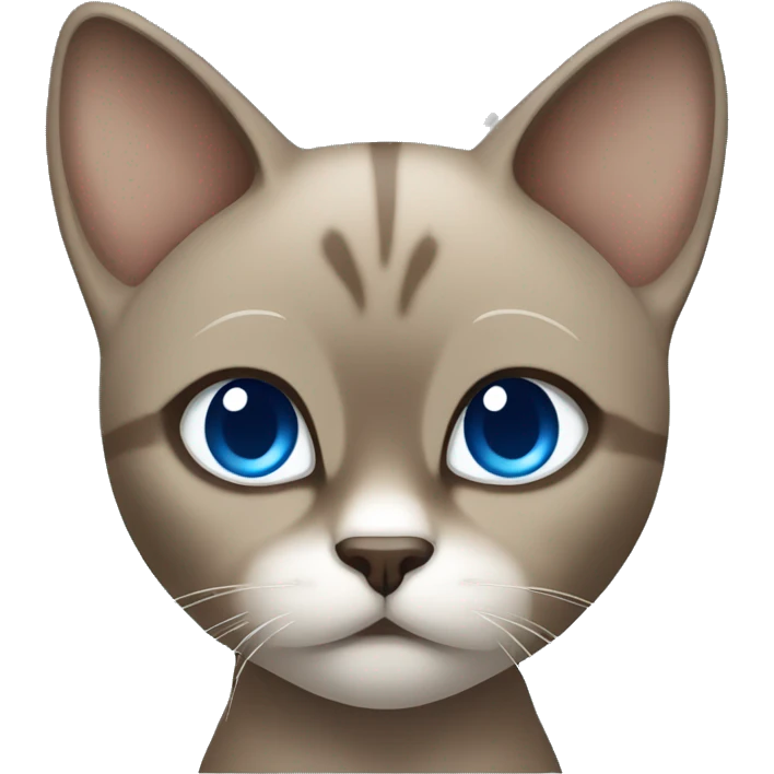 Dark Brown face - beige body and ears female thai cat with blue eyes  emoji