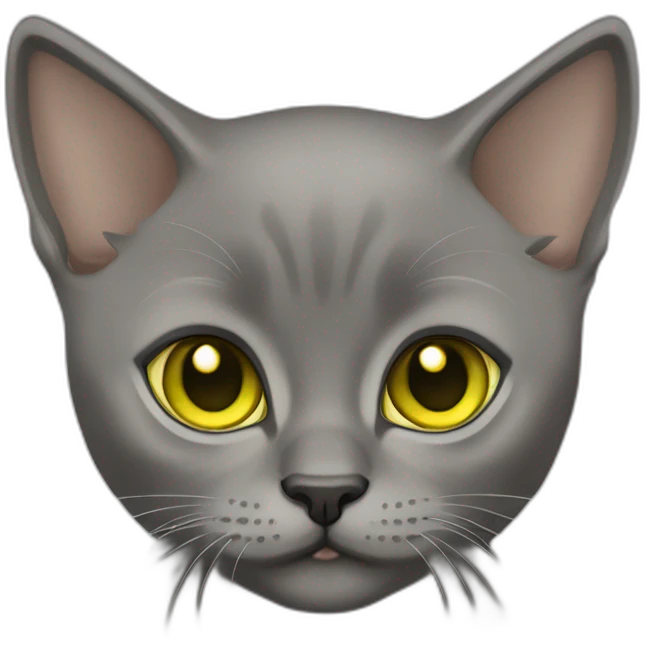 Grey Ninja Burmese kitten with yellow green eyes no clothing  emoji