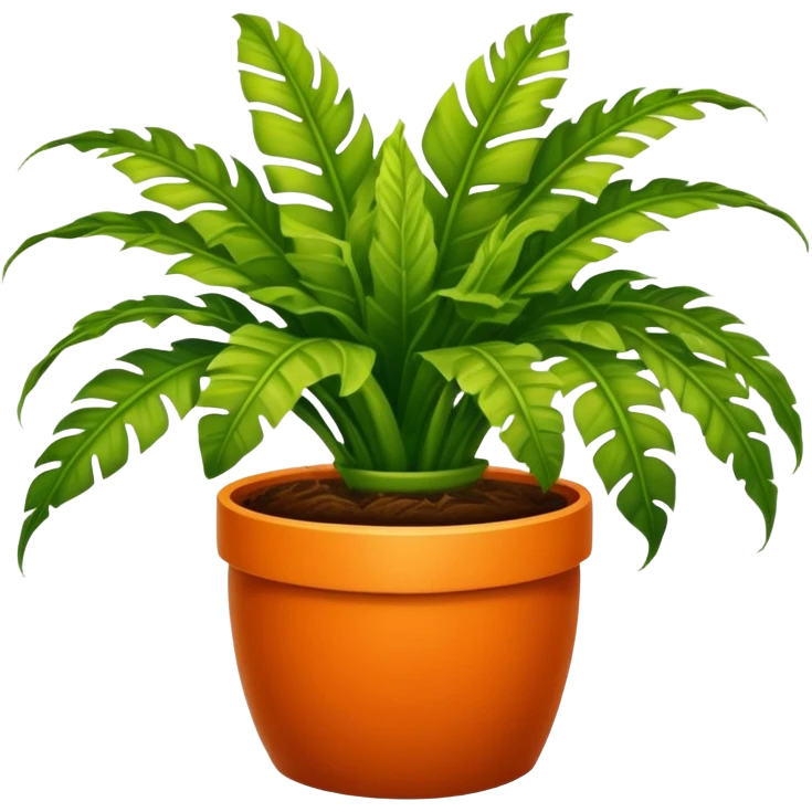 Bird's-nest fern plant in round orange pot emoji