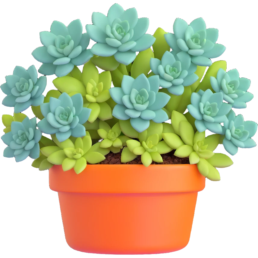 Sedum Pachyphyllum succulent with chubby blue-green leaves emoji