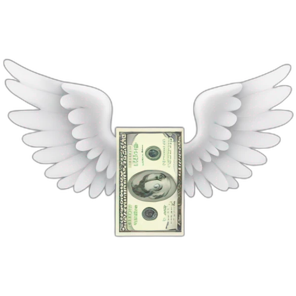 cash with wings emoji