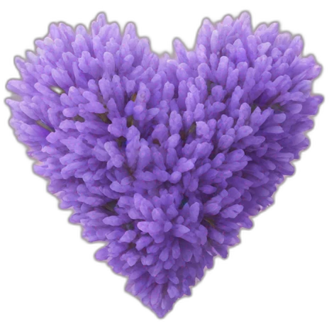 Lavender heart emoji