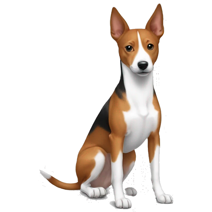 A basenji pmixed with a jack russell emoji