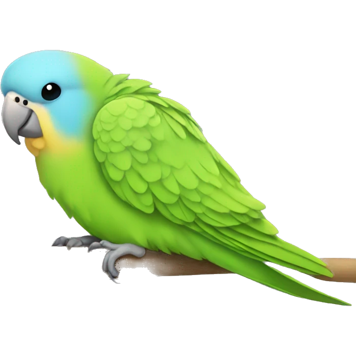 Parakeet sleeping emoji