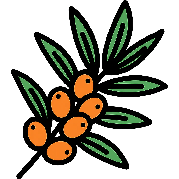 sea buckthorn branch with orange berries, color outline icon style emoji