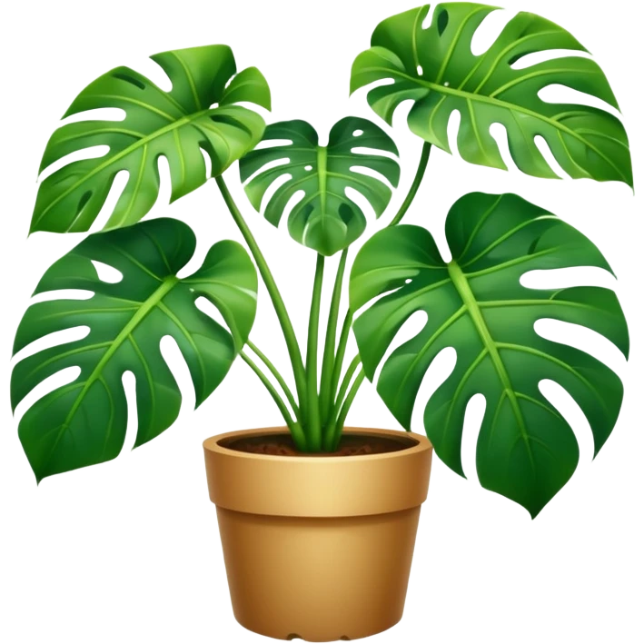 Monstera emoji