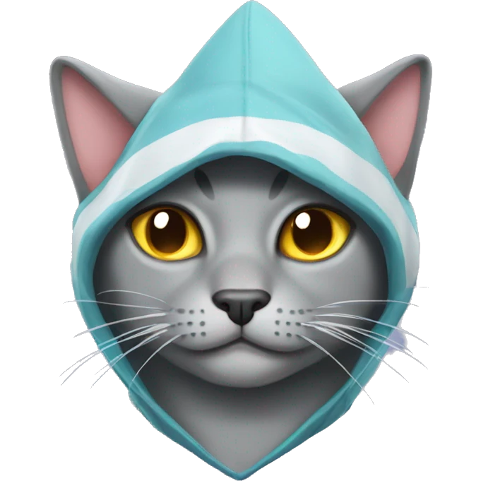 grey cat with a shark hat emoji