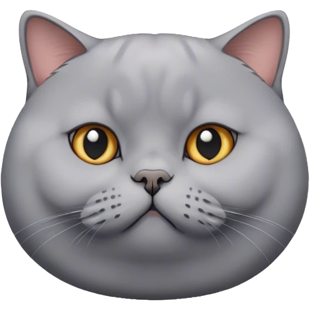 fat gray british shorthair cat  emoji