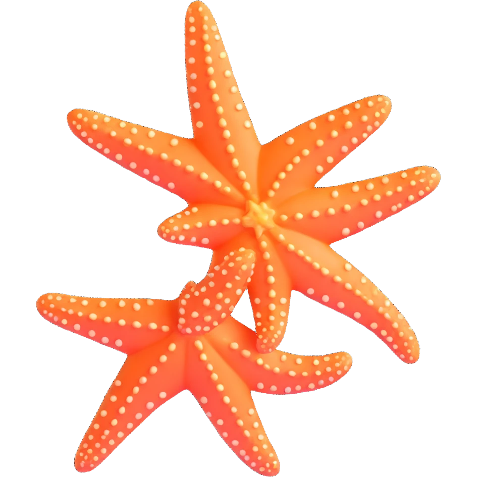 realistic starfish emoji