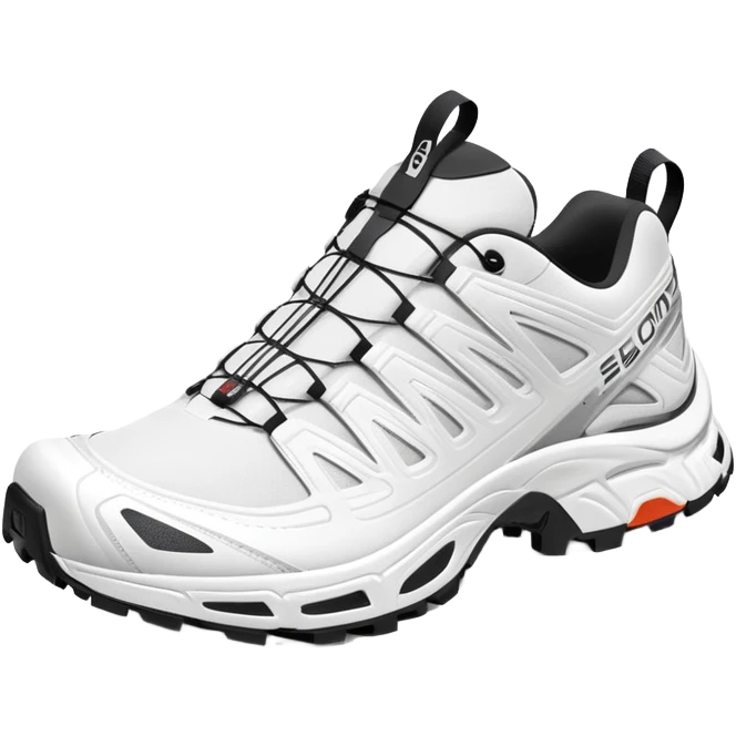 Salomon XT-6 white sneakers with Gore-Tex, one shoe positioned behind the other emoji