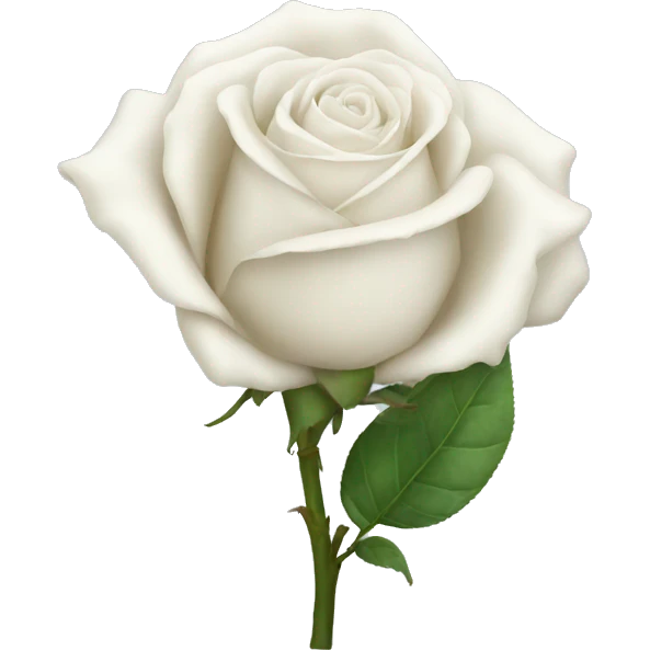 White roses  emoji