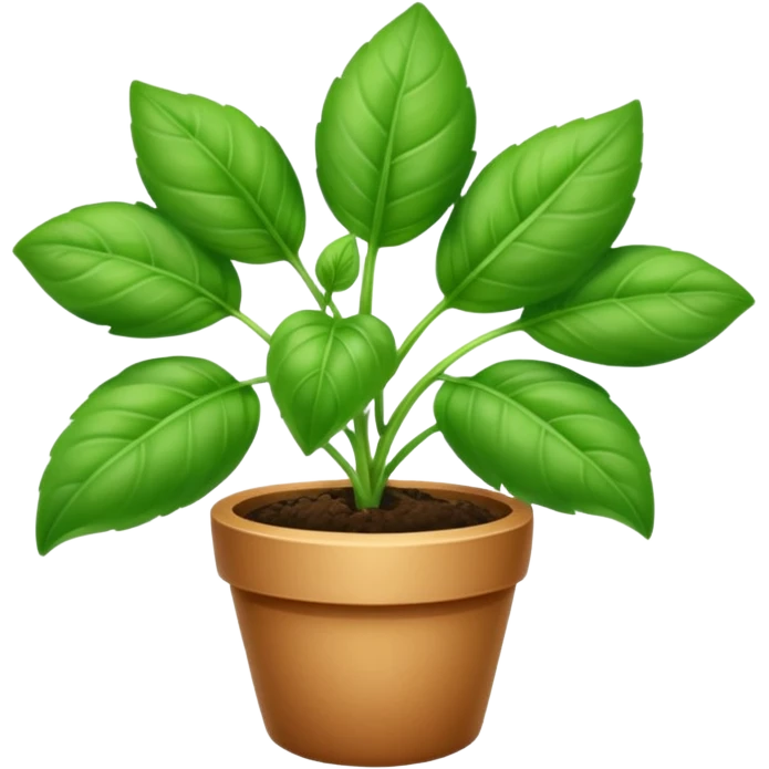 Basil emoji emoji