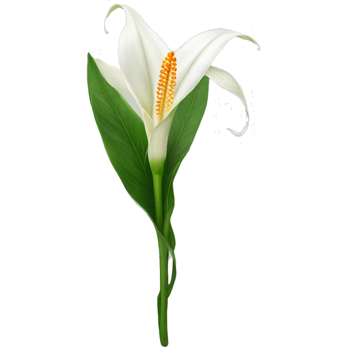 Peace lilies flower emoji
