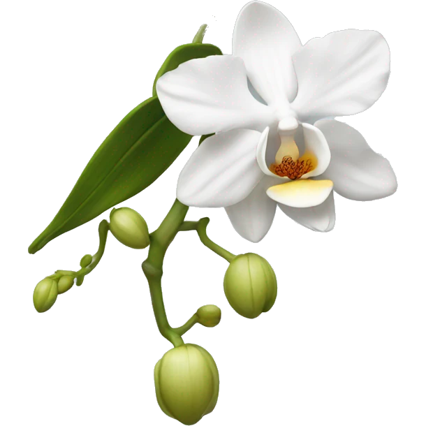 White orchid emoji