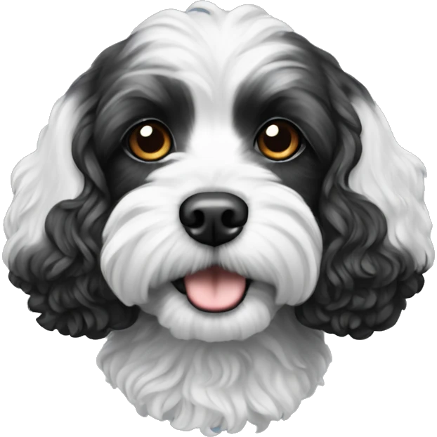 Cavapoo black and white  emoji