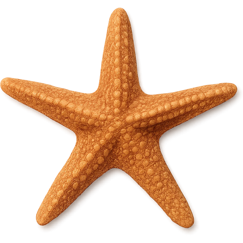 Starfish emoji