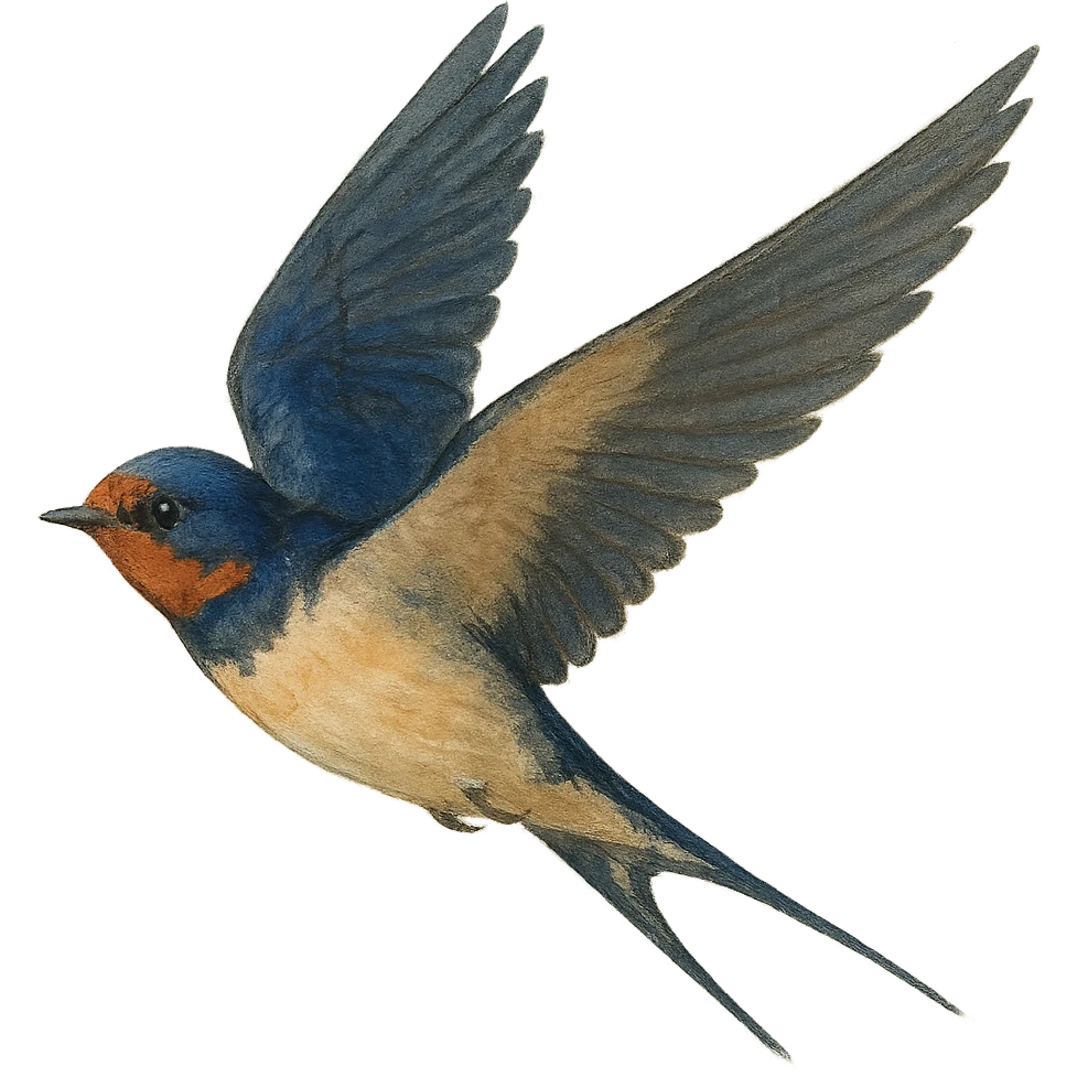 bird flying, varied artistic style, simple or transparent background emoji