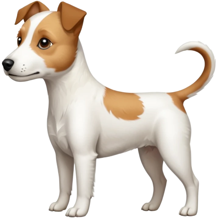 a full body slightly chubby white parson russell terrier looking dog the size of a kelpie with light brown long ears and a light brown patch on one eye and a large snout. the rest of the dog is completely white emoji