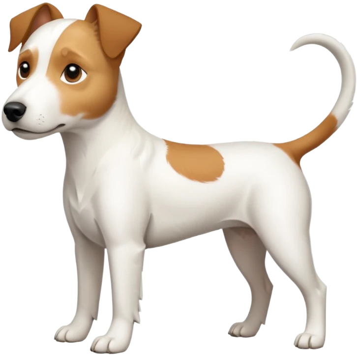 a full body slightly chubby white parson russell terrier looking dog the size of a kelpie with light brown long ears and a light brown patch on one eye and a large snout. the rest of the dog is completely whiteforward facing emoji