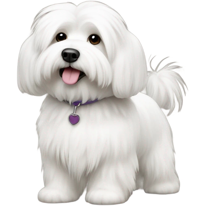 coton de tuleur white fur emoji