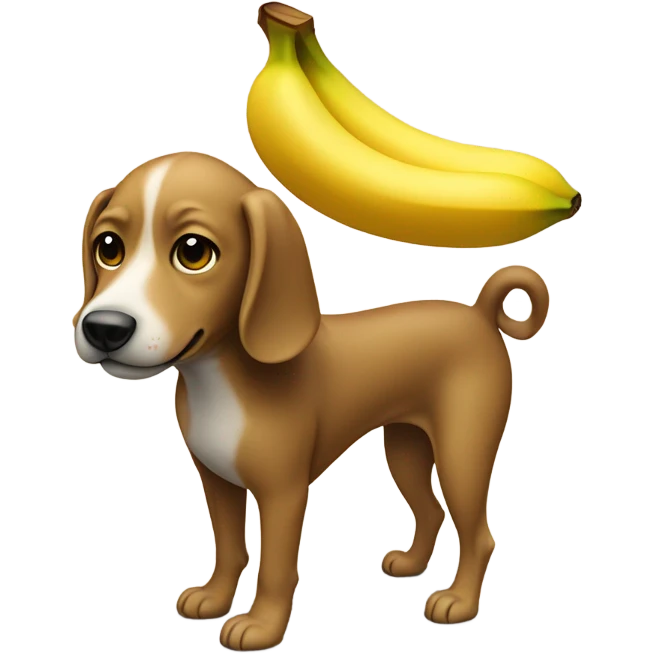 dog with banana on head emoji