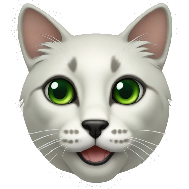 cat kornish rex white with dark green eyes and black nose emoji