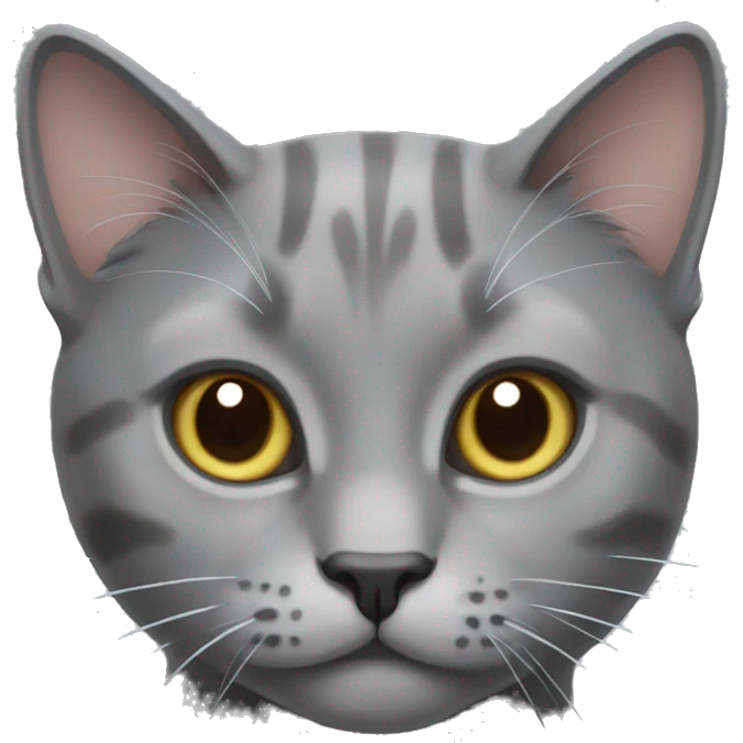 Gray cat  emoji