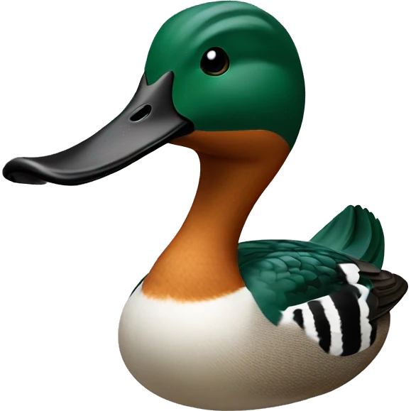 Northern shoveler duck emoji