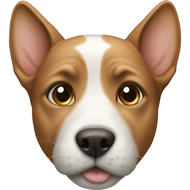 dog and cat emoji