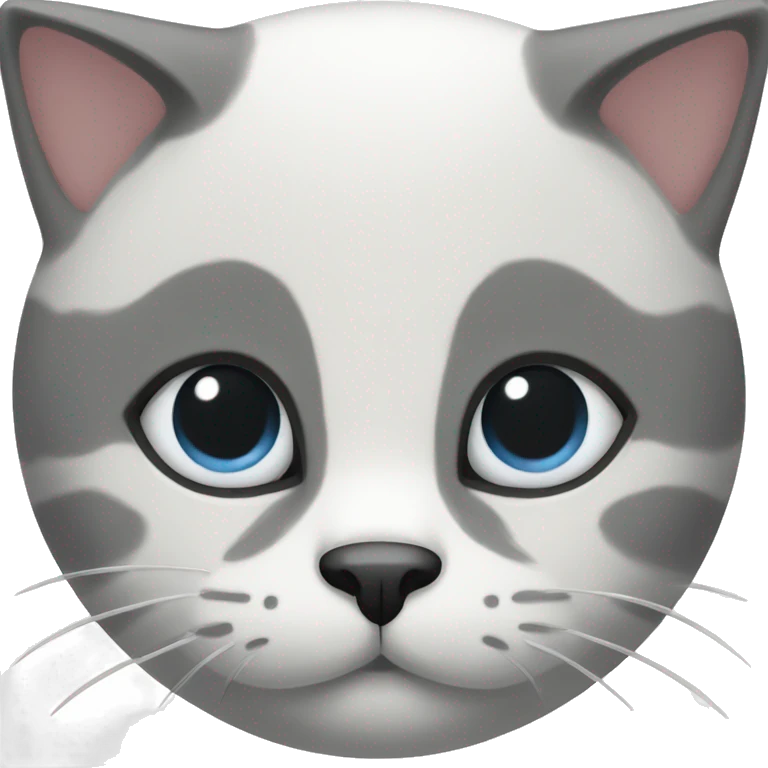 Black and white cat  emoji