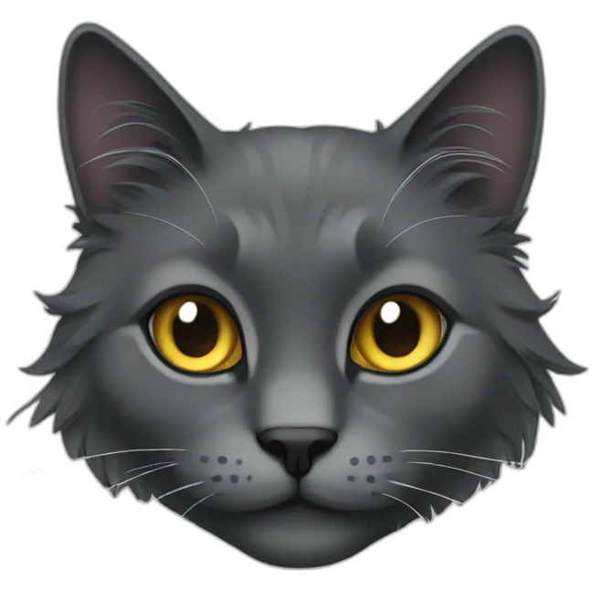 charcoal colored long haired cat emoji