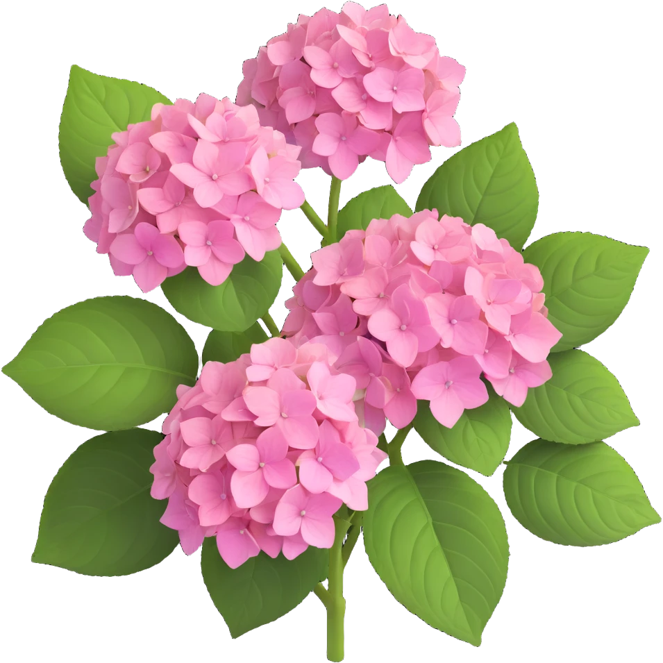 pink hydrangea flower with green leaves emoji
