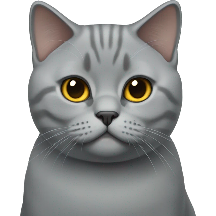 british shorthair cat emoji