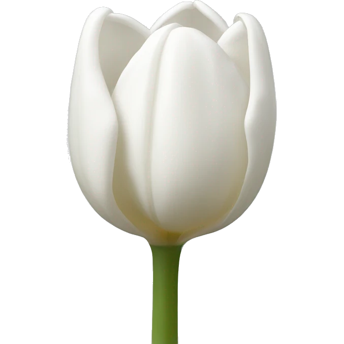 White tullips emoji