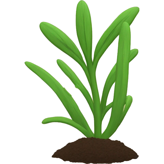 caraway plant emoji