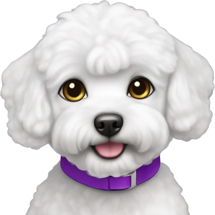 White bichon maltais with purple collar and grey eyes emoji