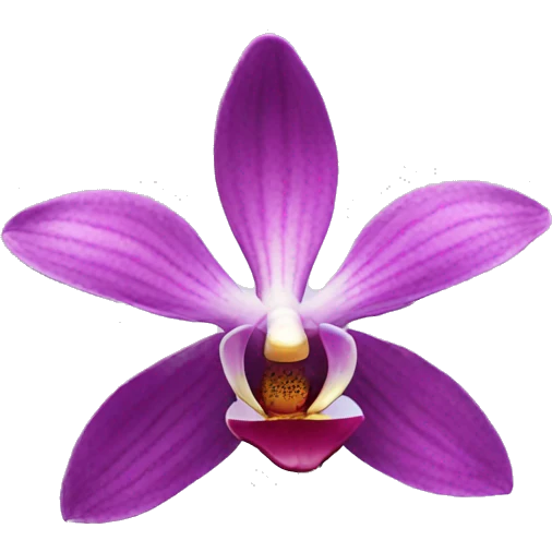 orchid flower emoji