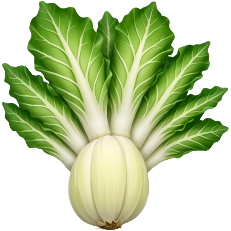 green blegian endive radicchio smooth emoji
