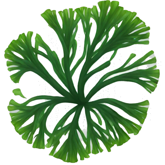 crispy seaweed emoji